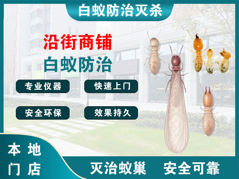 宜兴沿街商铺白蚁防治