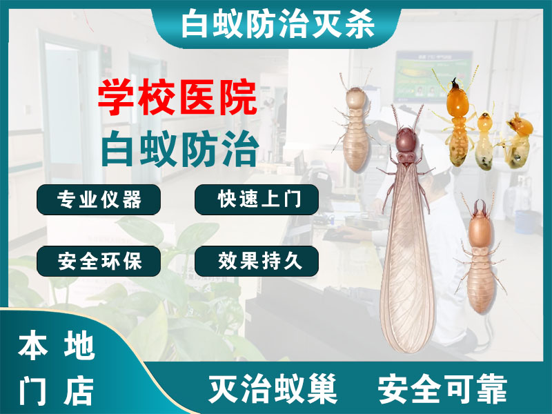 宜兴学校医院白蚁防治