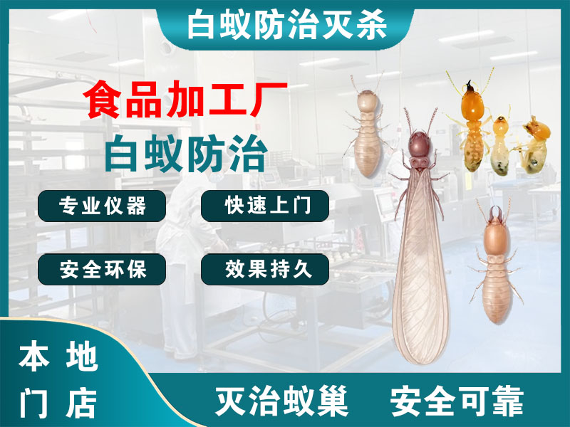 宜兴食品加工厂白蚁防治