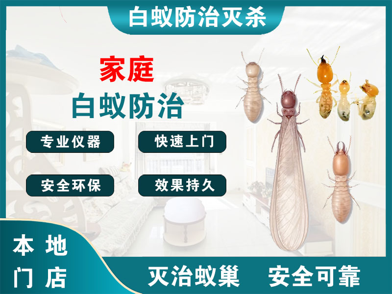 宜兴家庭白蚁防治