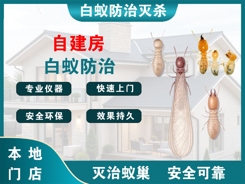 宜兴自建房白蚁防治