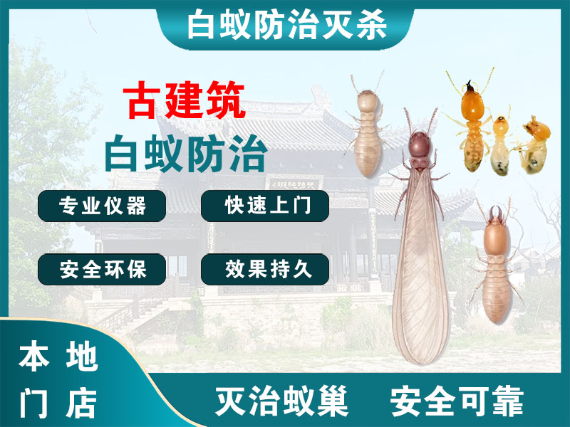 宜兴古建筑白蚁防治