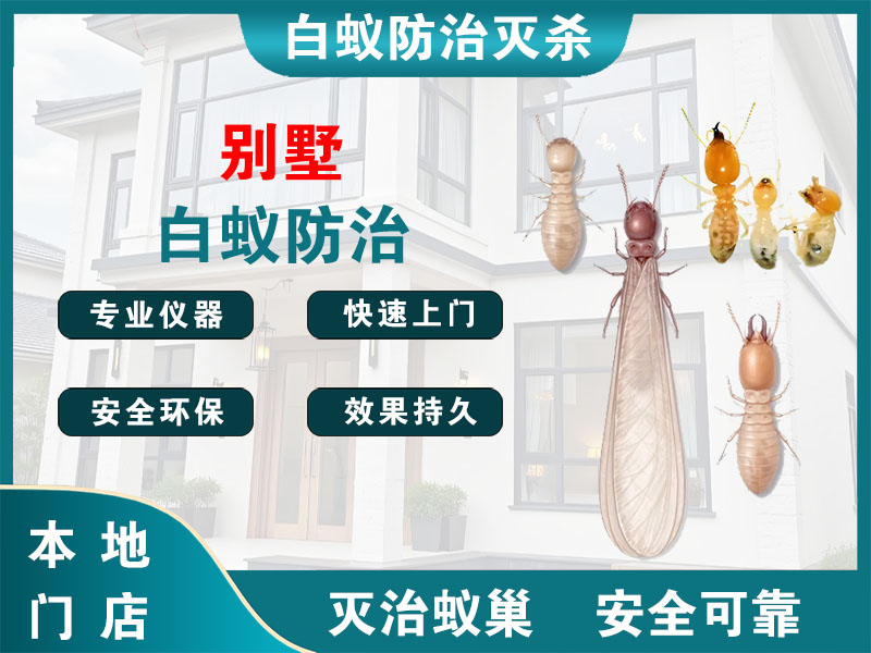 宜兴别墅白蚁防治