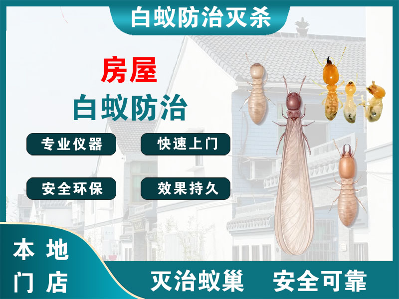 宜兴房屋白蚁防治